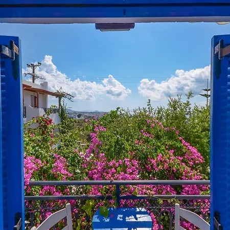 Tasia Άγιος Προκόπιος