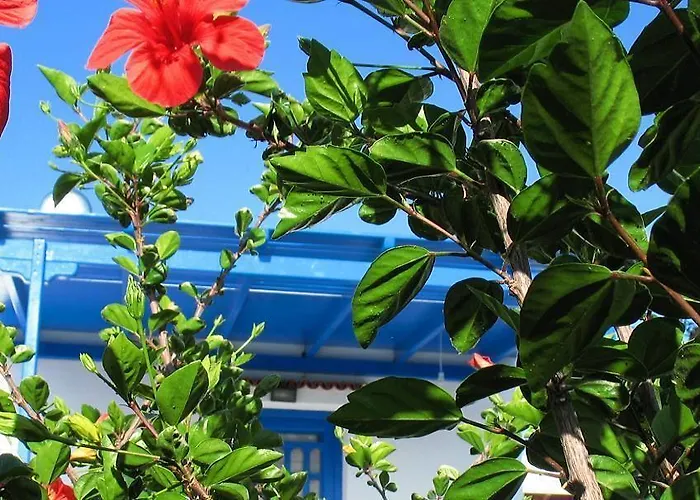 Tasia Lejlighedshotel Agios Prokopios (Naxos)