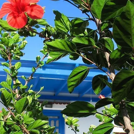 Tasia Lägenhetshotell Agios Prokopios (Naxos)