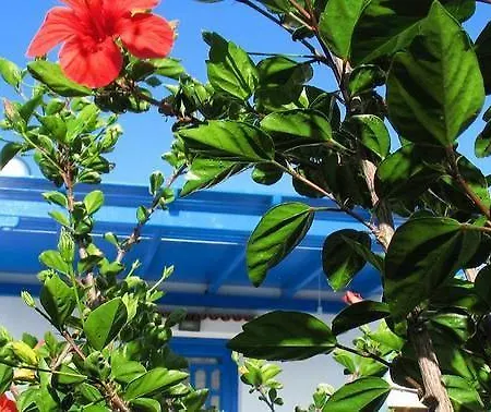Studios Tasia 3* Agios Prokopios (Naxos)