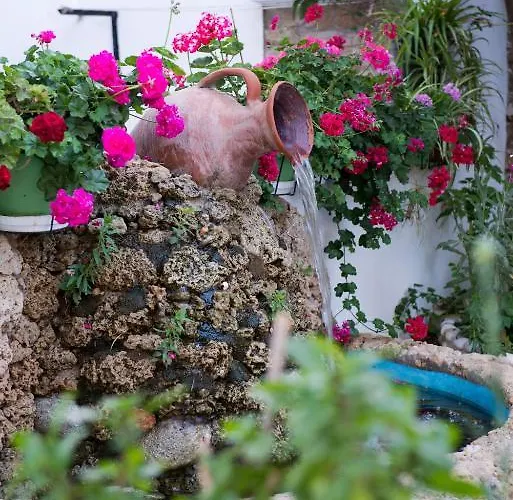 Studios Tasia Agios Prokopios (Naxos)